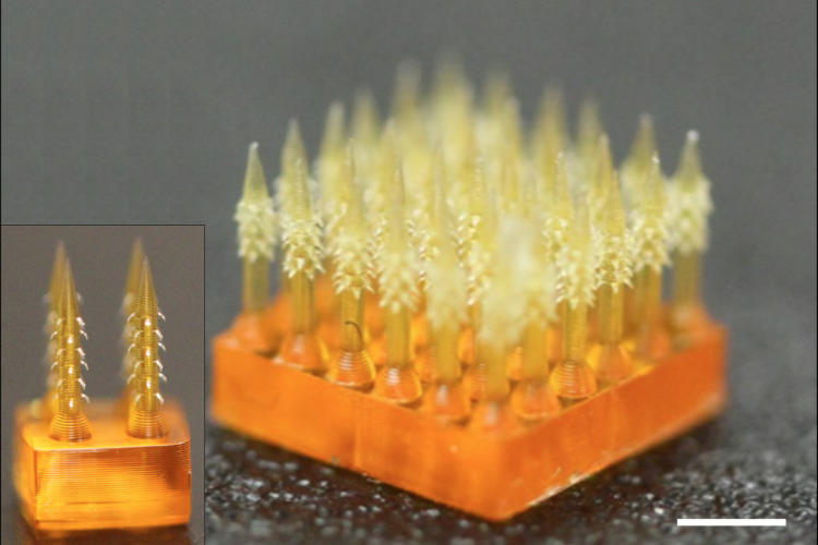 magnified image of the 4D printed microneedles with barbs