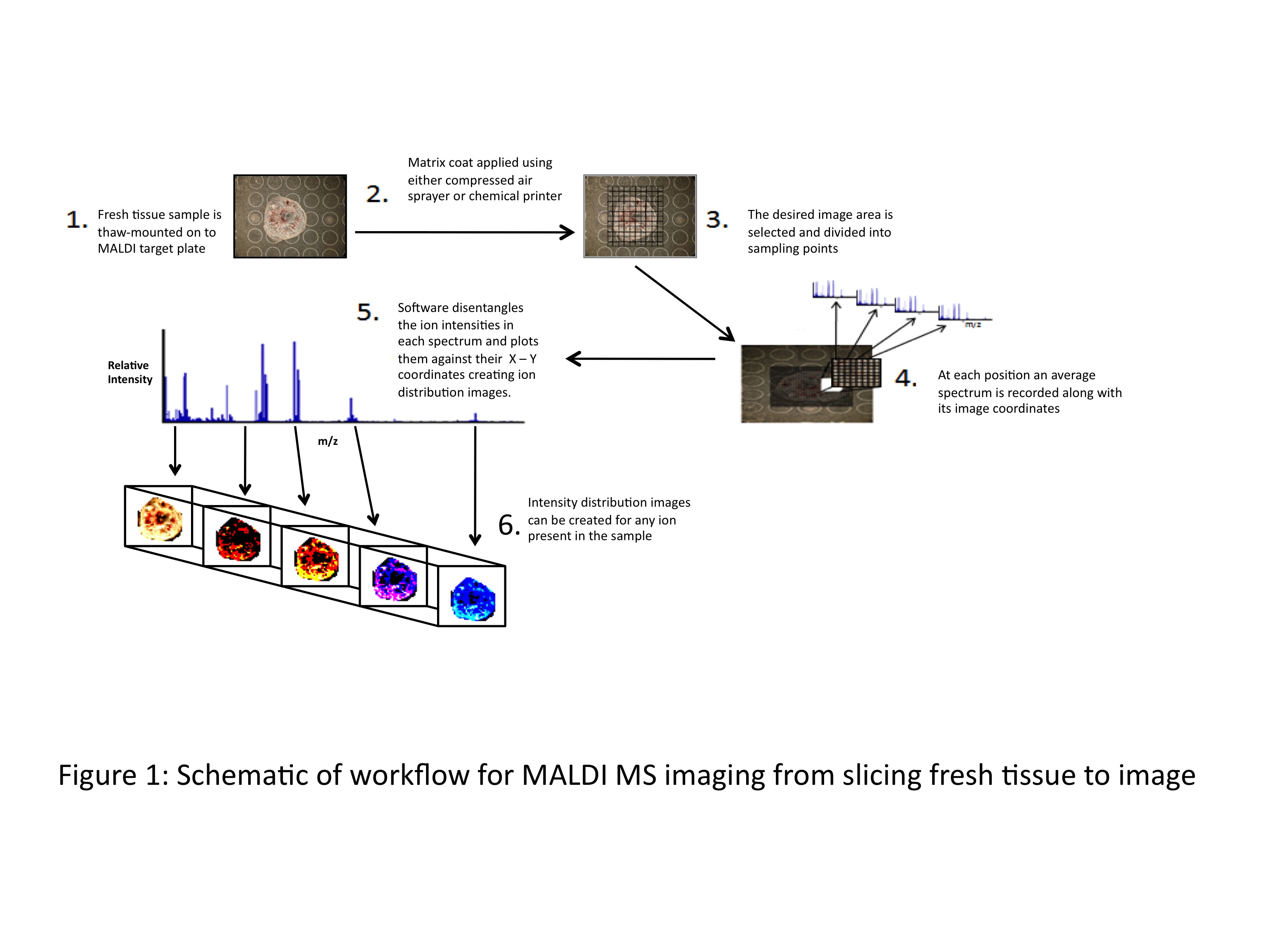 Ms Based Clinical Proteomics Biomarker Discovery In Mens Cancer