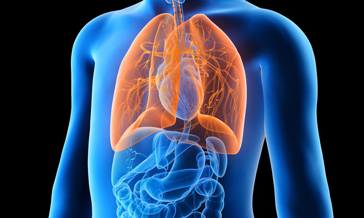 Breakthrough Therapy For Cystic Fibrosis Approved By FDA