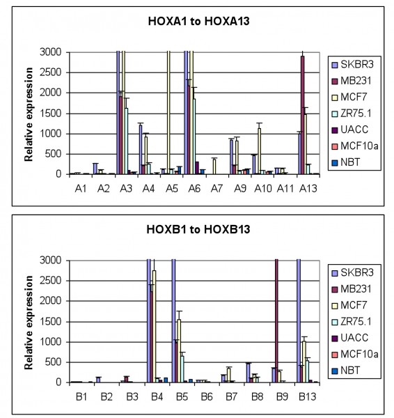 fig 2 for web FIGURE 2 HOX gene expression in breast cancer derived cell lines and in normal breast tissue. The expression of each gene was determined by semi-quantitative PCR and is shown relative to the house keeping gene GAPDH (x10000). The values shown are the mean of three independent experiments and the error bars represent the SEM. NBT – normal breast tissue. Everyone of the breast tumour derived cell lines show significant up regulation of many HOX genes whilst there is very little HOX expression in normal breast tissue, or in MCF10a, a cell line derived from non-malignant mammary cells