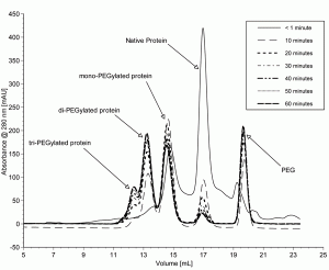 Protein PEGylation Process: An Overview Of Chemistry