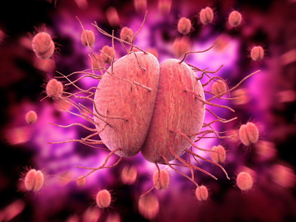 how-did-gonorrhoea-become-a-drug-resistant-superbug