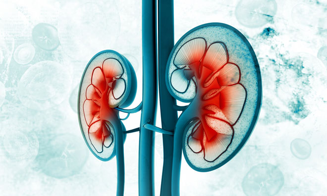 NICE recommends cabozantinib for advanced renal cell cancer