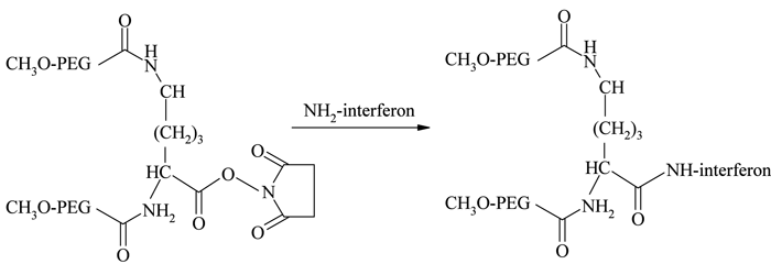 Protein PEGylation Process: An Overview Of Chemistry