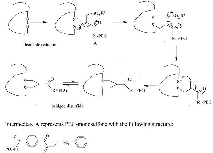 Protein PEGylation Process: An overview of chemistry