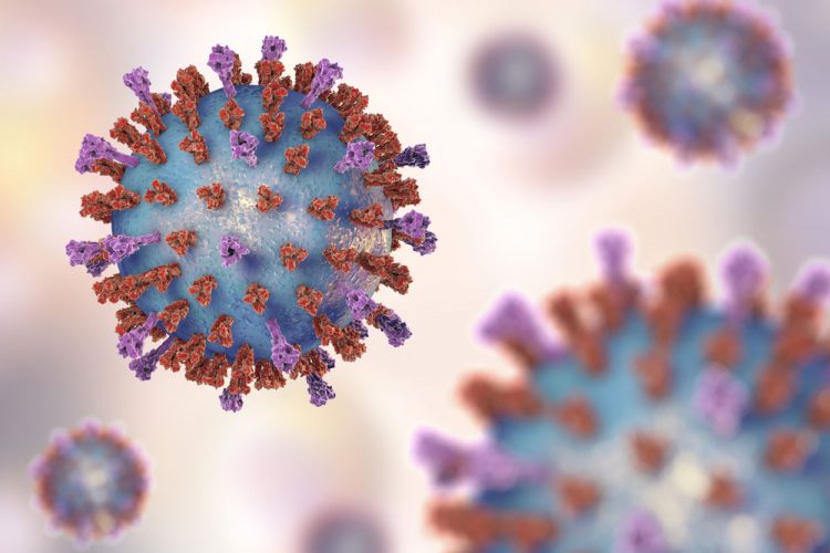 Antigen study provides a new approach to vaccine development for RSV